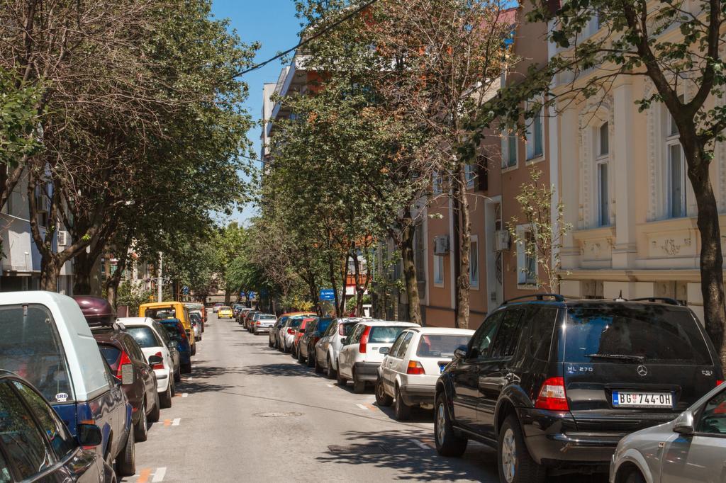 Apartment Aleksandar Belgrad Dış mekan fotoğraf